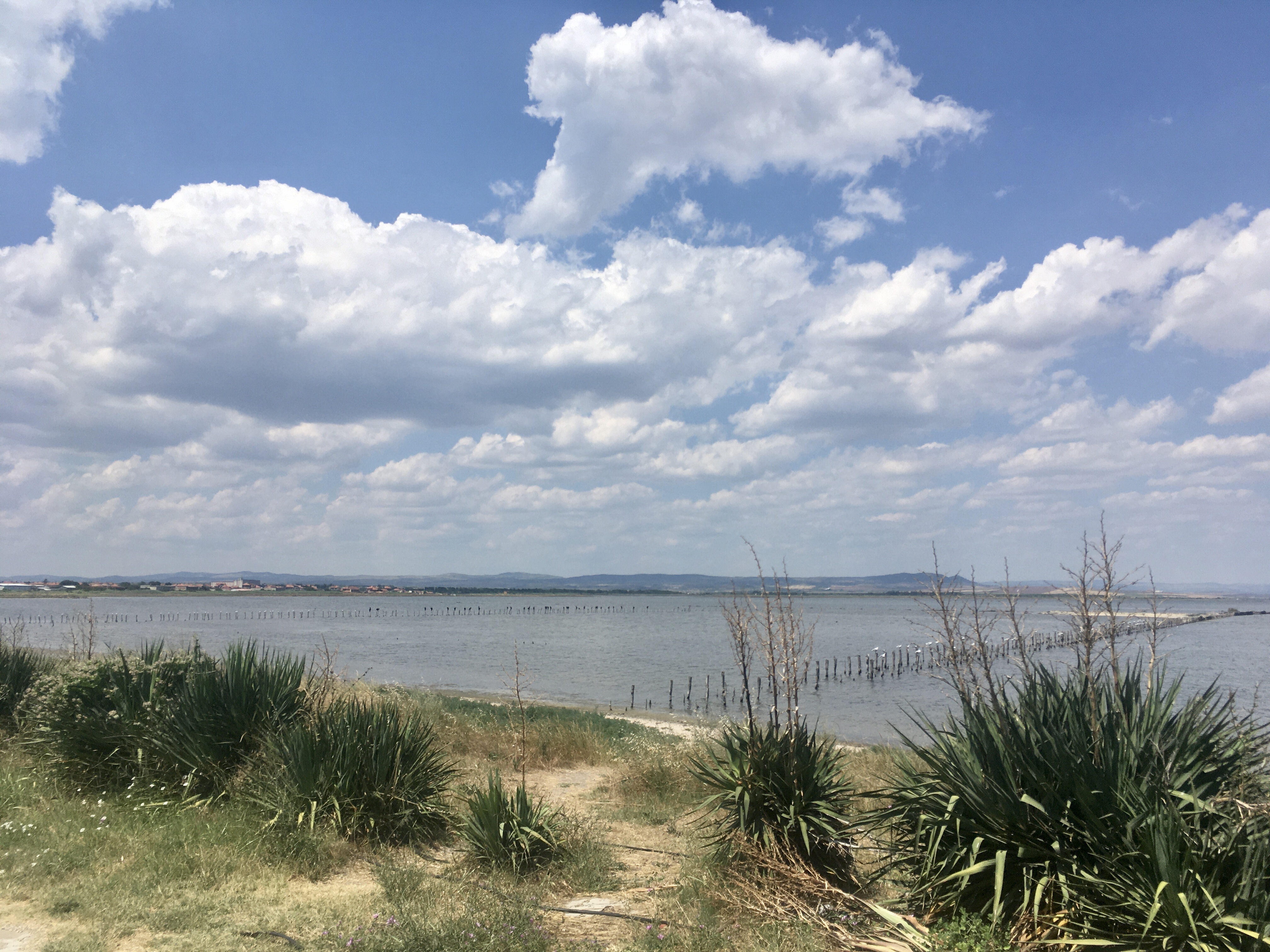 Pomorie See